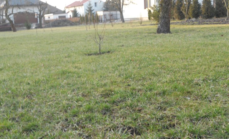 działka na sprzedaż - Toruń, Łączna