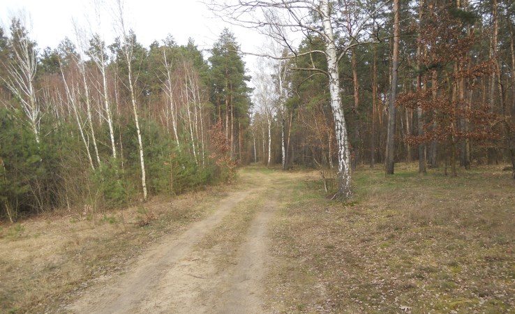 działka na sprzedaż - Kawęczyn