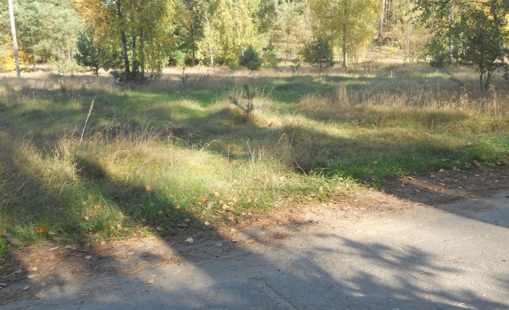 działka na sprzedaż - Lubicz, Brzeźno