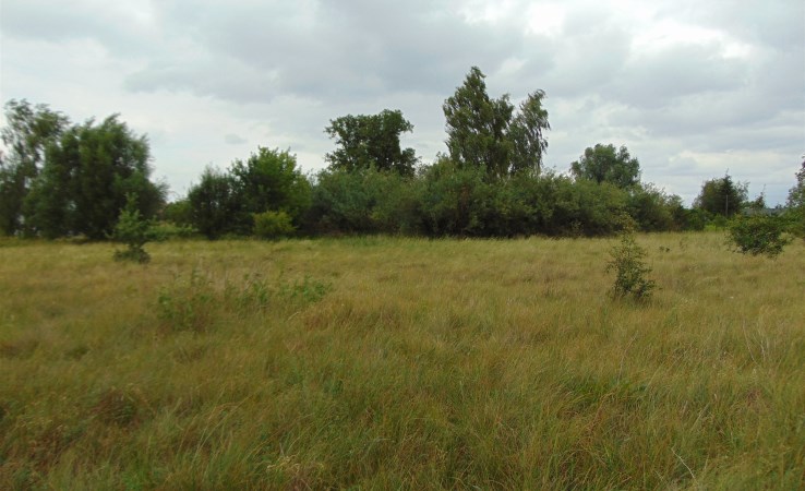 działka na sprzedaż - Zławieś Wielka, Pędzewo