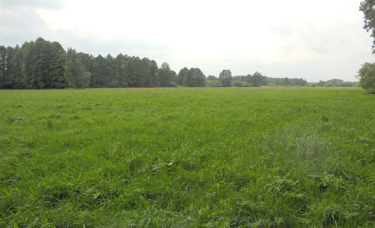 działka na sprzedaż - Lubicz, Brzeźno